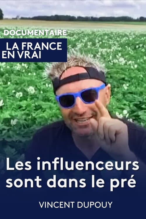 Постер: Les influenceurs sont dans le pré