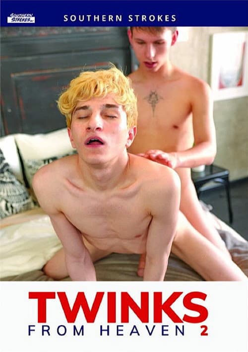 Постер: Twinks from Heaven 2