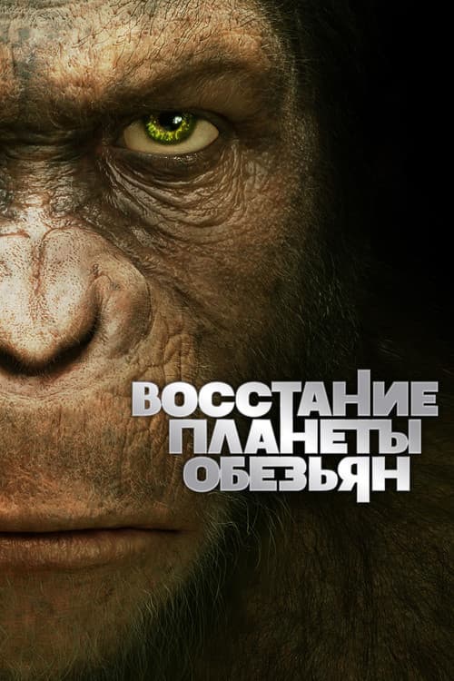 Кадр 2