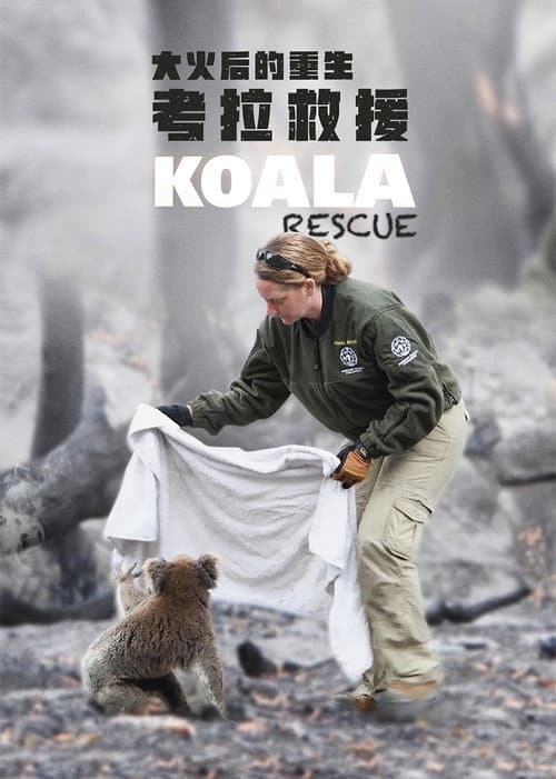 Постер: Koala Rescue
