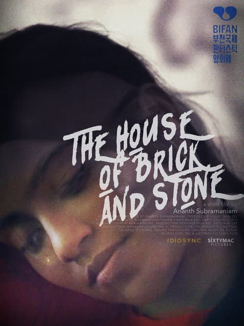 Постер: The House of Brick and Stone