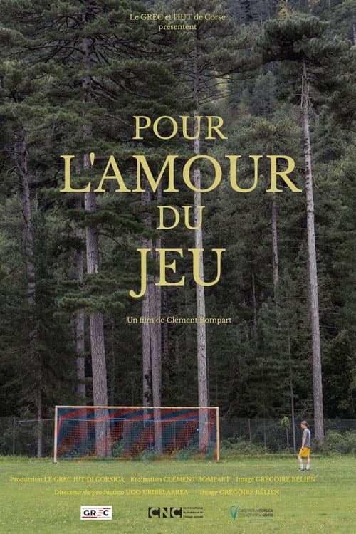 Постер: Pour l'amour du jeu