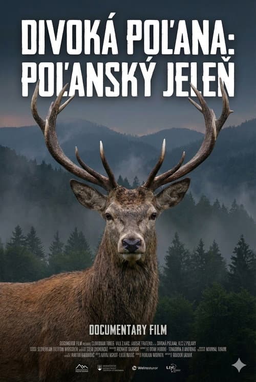 Постер: Divoká Poľana: Poľanský jeleň