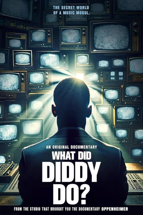 Постер: What Did Diddy Do?