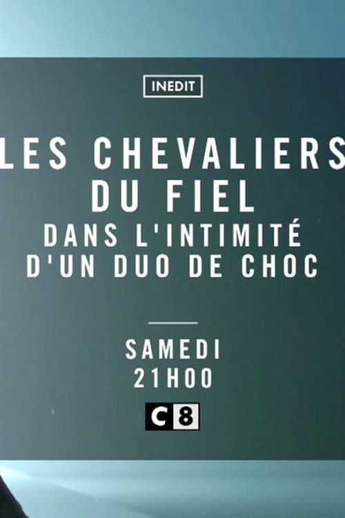 Постер: Les Chevaliers du Fiel - Dans l'intimité d'un duo de choc
