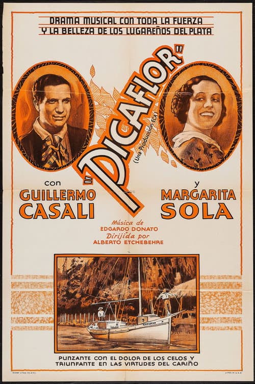 Постер: Picaflor