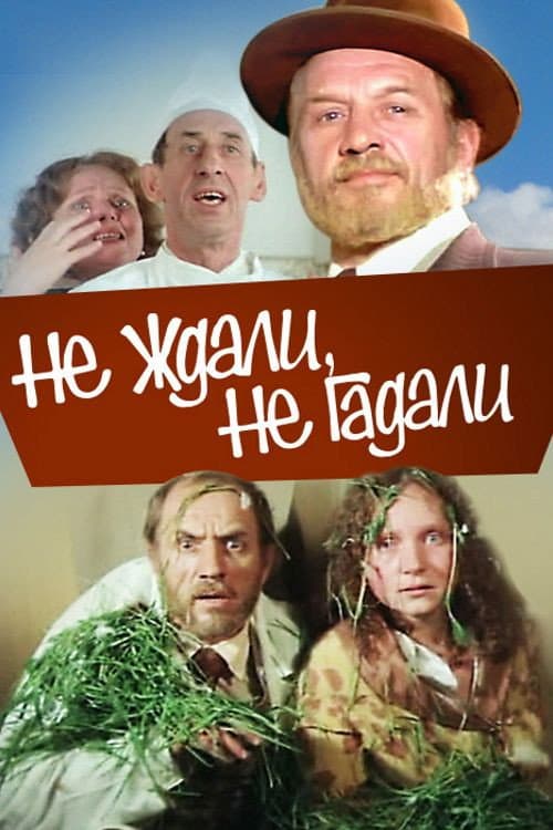 Постер: Не ждали, не гадали