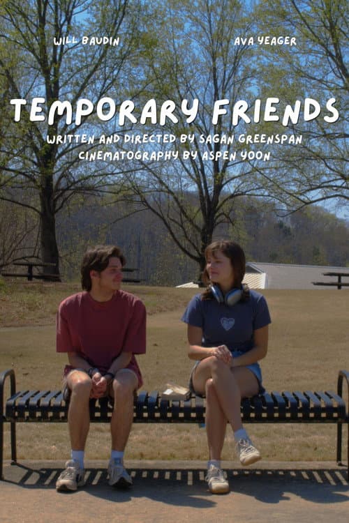 Постер: Temporary Friends