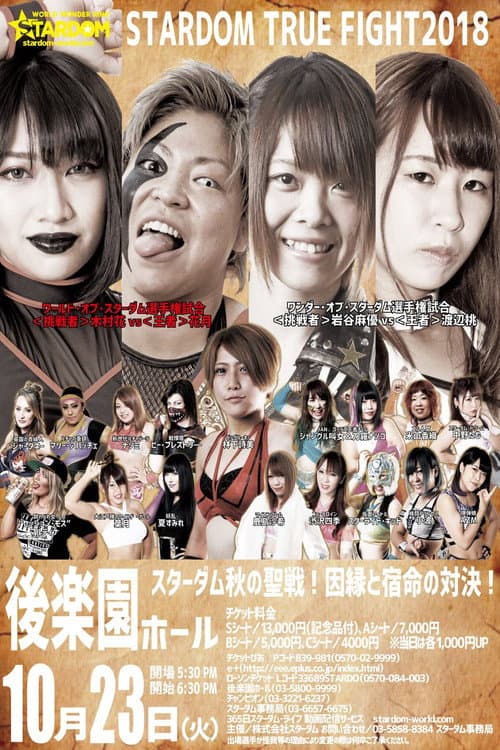 Постер: STARDOM TRUE FIGHT 2018