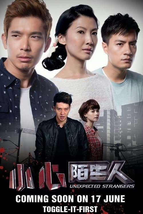 Постер: 小心陌生人