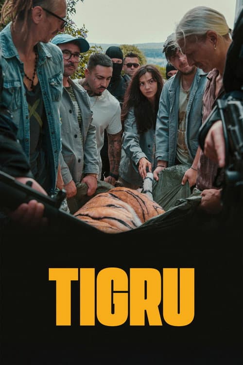 Постер: День тигра