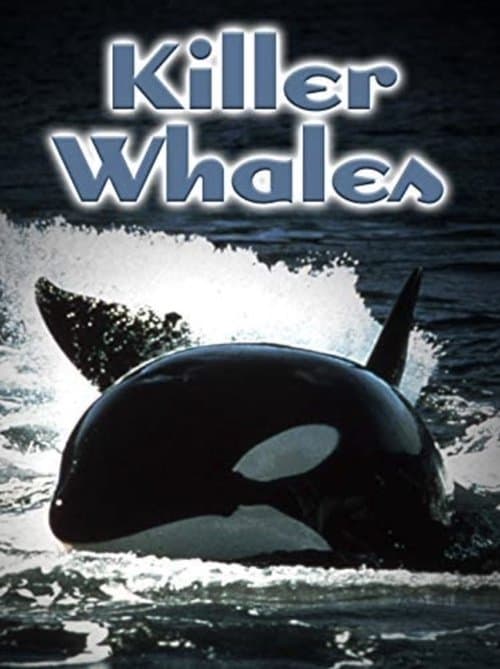 Постер: Killer Whales: Up Close and Personal