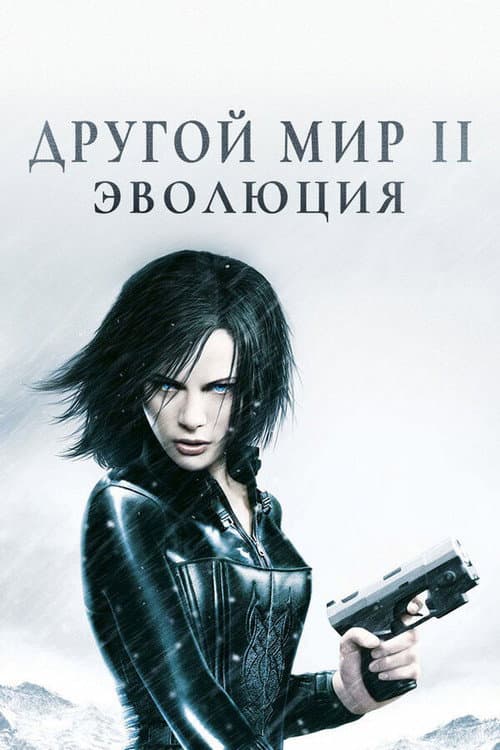Кадр 14