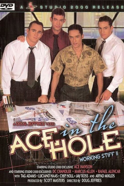 Постер: Ace in the Hole: Working Stiff 2