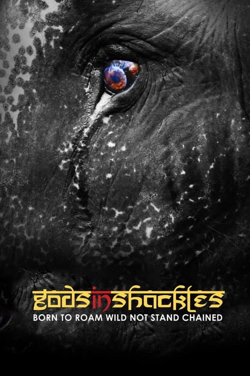 Постер: Gods in Shackles