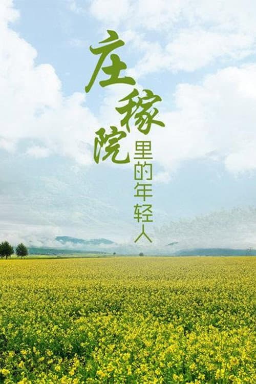 Постер: 庄稼院里的年轻人