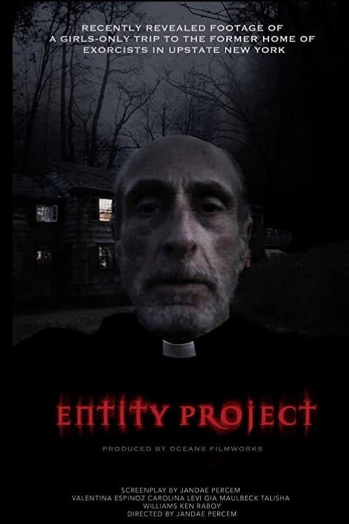 Постер: Entity Project