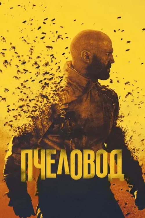Кадр 13