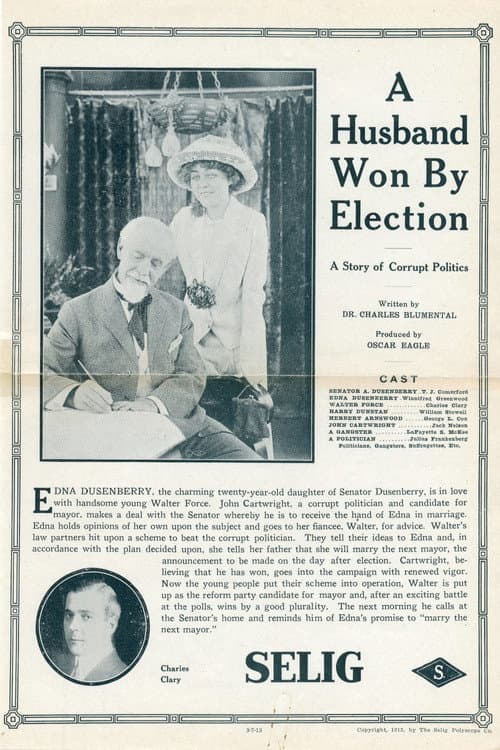Постер: A Husband Won by Election