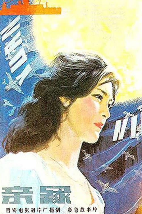 Постер: 亲缘