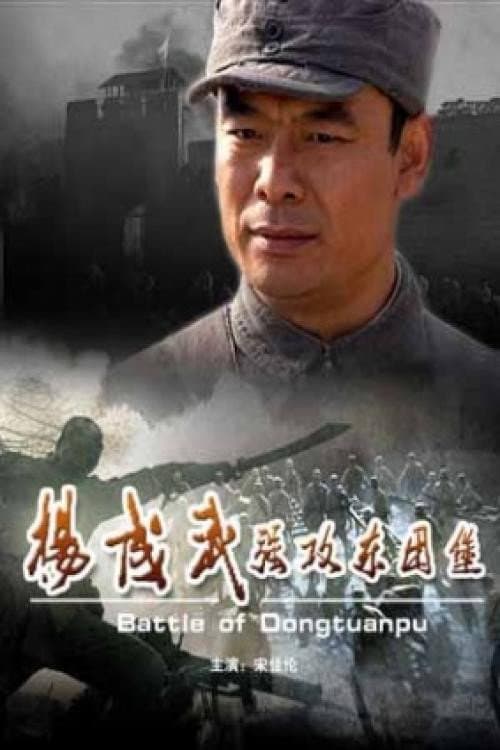 Постер: 杨成武强攻东团堡
