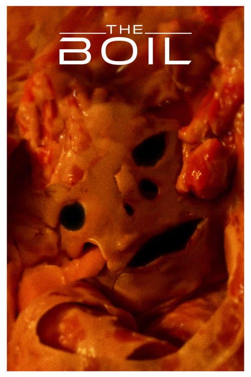 Постер: The Boil