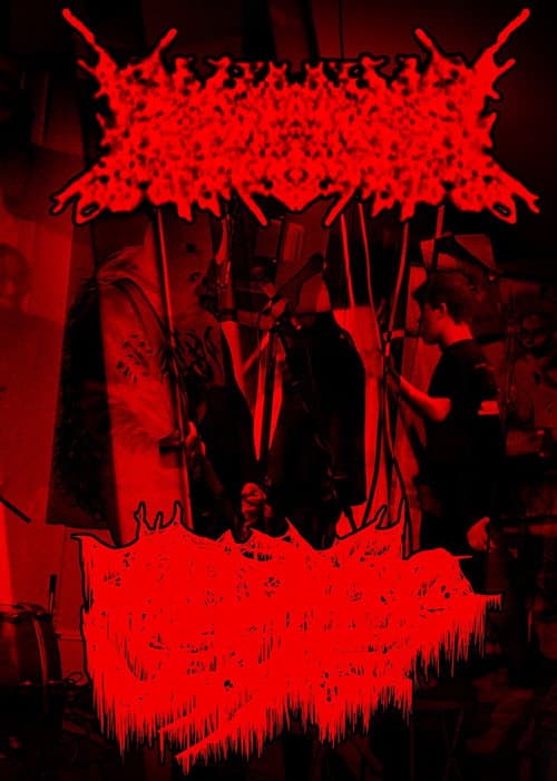 Постер: Rhabdomyolysis/Amebiasis Live at The Veil