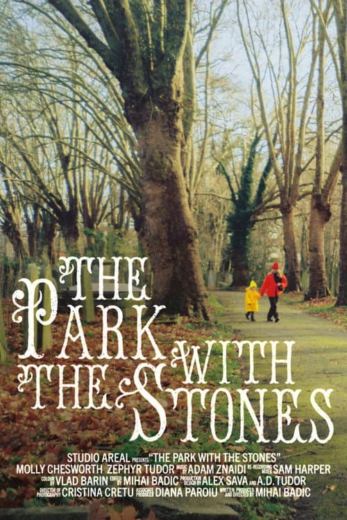Постер: The Park with the Stones