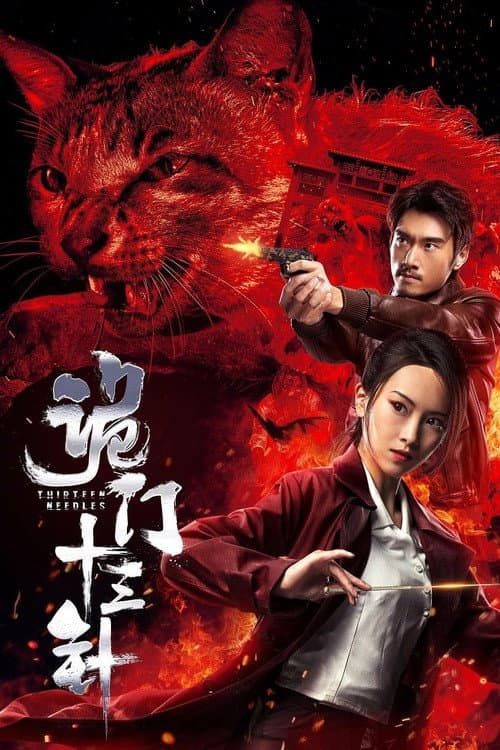 Постер: 诡门十三针