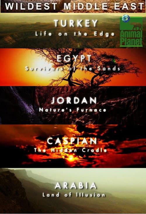 Постер: Wildest Middle East