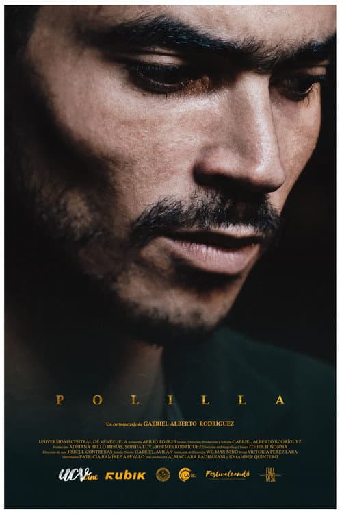 Постер: Polilla
