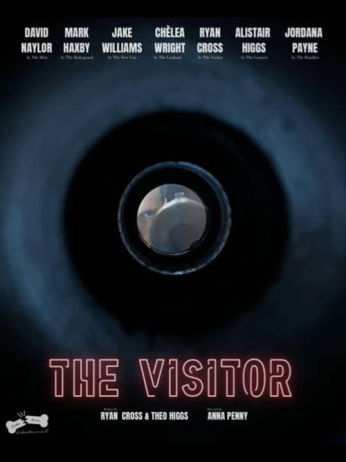Постер: The Visitor