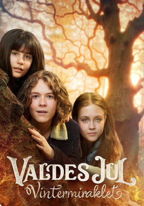 Постер: Valdes Jul - Vintermiraklet