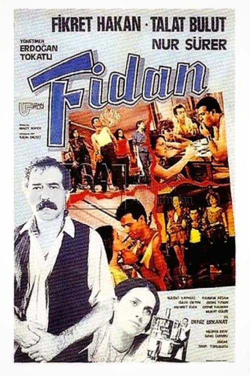 Постер: Fidan
