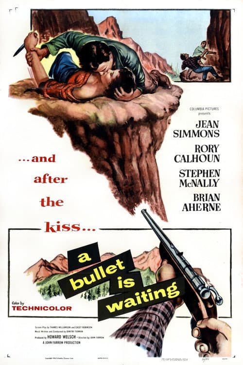 Постер: A Bullet Is Waiting