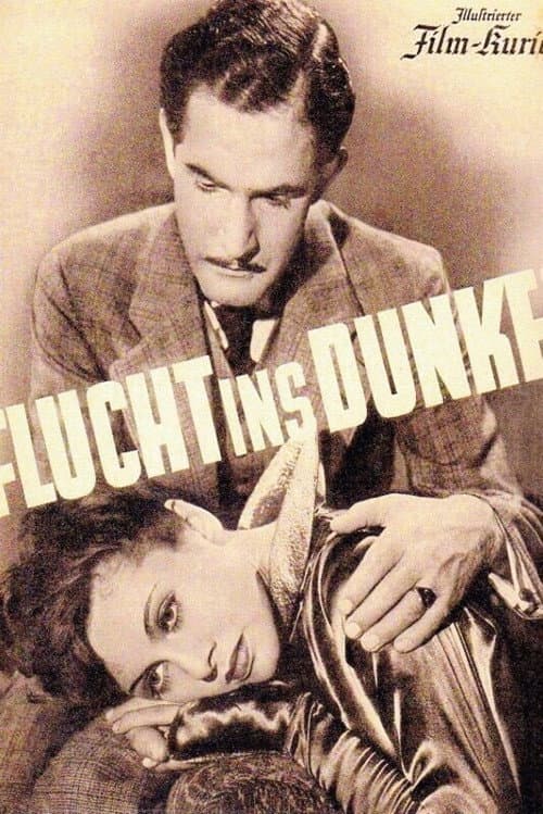 Постер: Flucht ins Dunkel