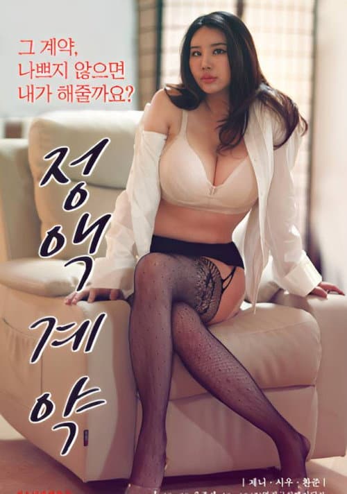 Постер: 정액계약