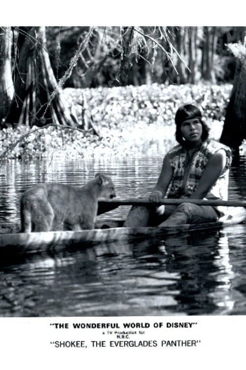Постер: Shokee, the Everglades Panther