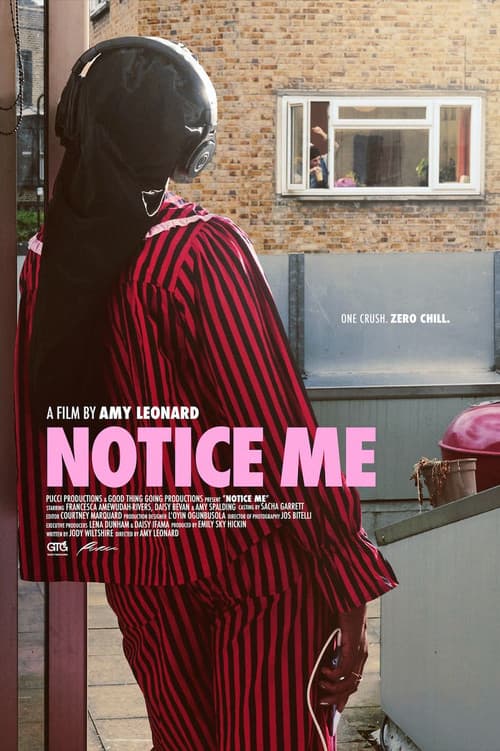 Постер: Notice Me