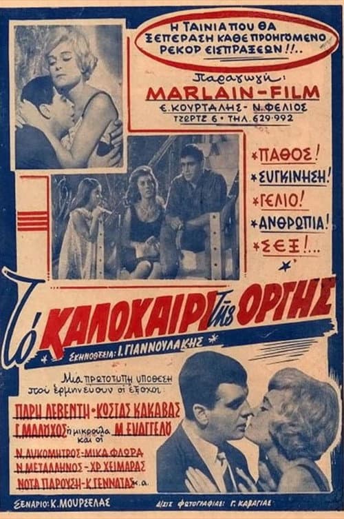 Постер: Το καλοκαίρι της οργής
