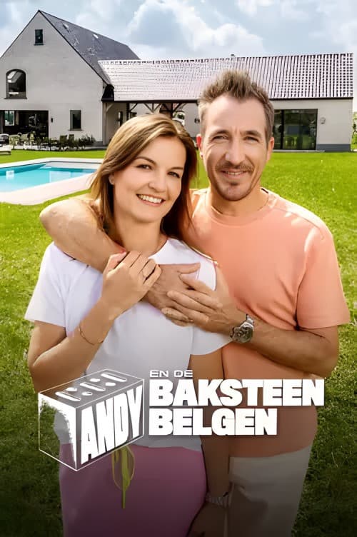 Постер: Andy en de Baksteen Belgen