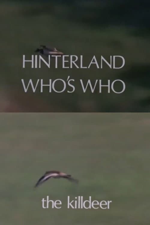 Постер: Hinterland Who's Who: Killdeer