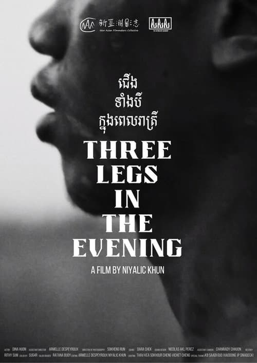 Постер: Three Legs in the Evening