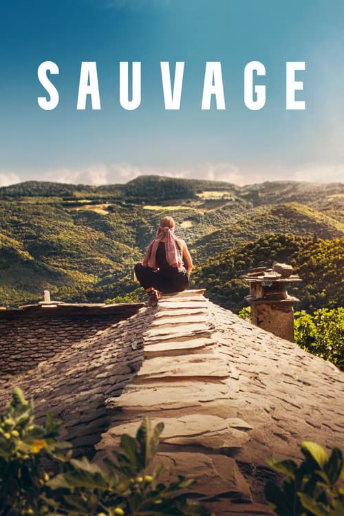 Постер: Sauvage