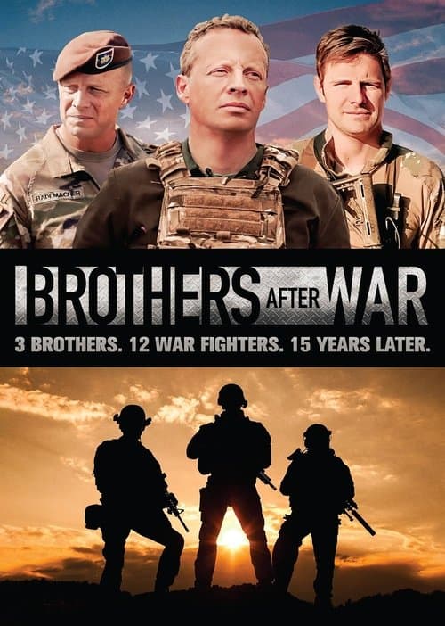 Постер: Brothers After War