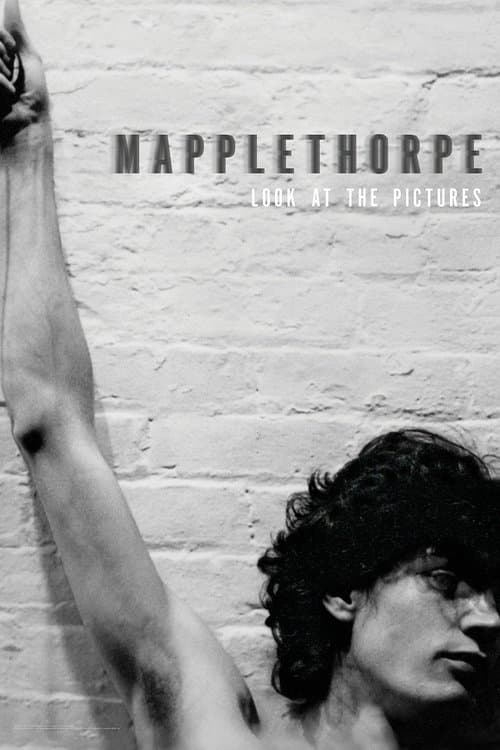 Постер: Mapplethorpe: Look at the Pictures