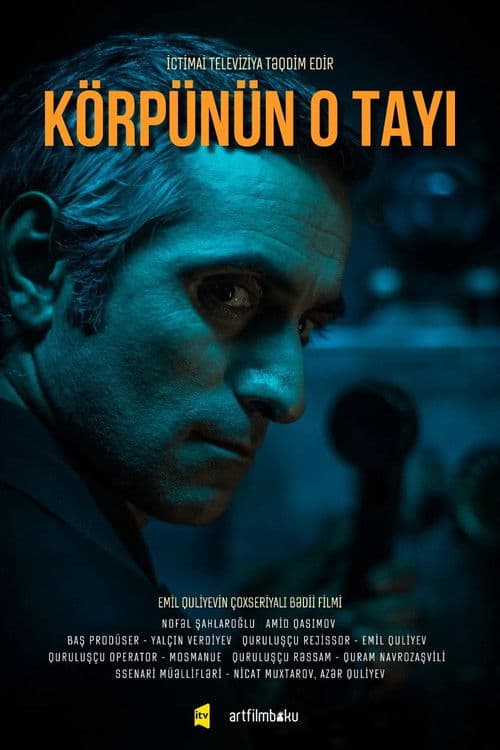 Постер: Körpünün O Tayı