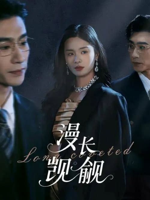 Постер: 漫长觊觎