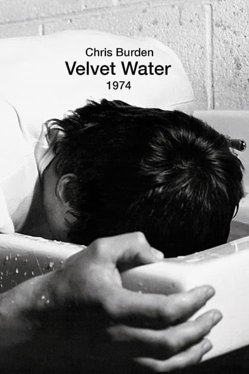Постер: Velvet Water