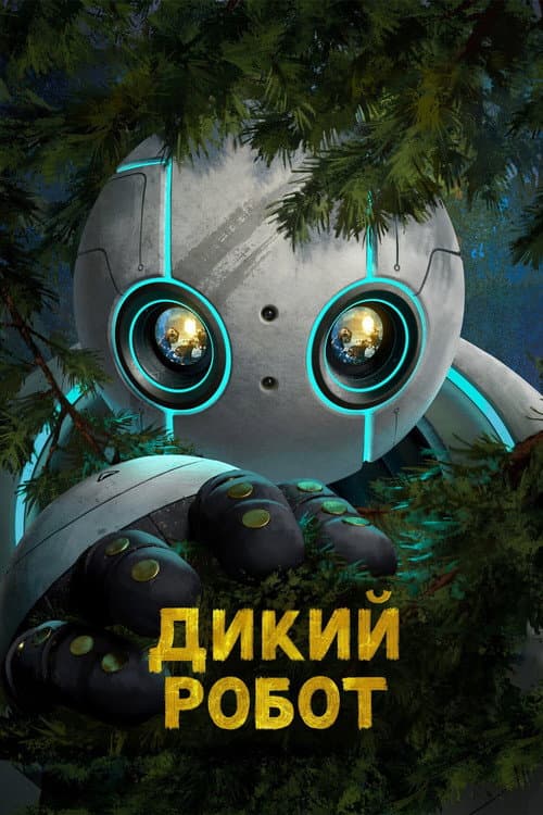Кадр 13